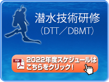 DTT/DBMT